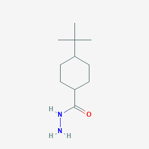 4-Tert-butylcyclohexanecarbohydrazide
