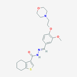 N'-{3-methoxy-4-[2-(4-morpholinyl)ethoxy]benzylidene}-4,5,6,7-tetrahydro-1-benzothiophene-3-carbohydrazide