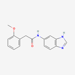 N-(1H-benzimidazol-5-yl)-2-(2-methoxyphenyl)acetamide