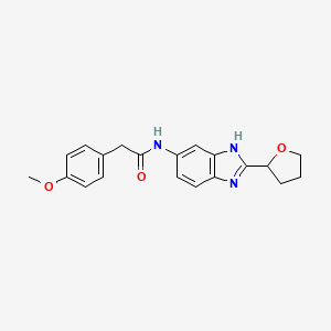 molecular formula C20H21N3O3 B4502105 2-(4-methoxyphenyl)-N-[2-(tetrahydrofuran-2-yl)-1H-benzimidazol-5-yl]acetamide 