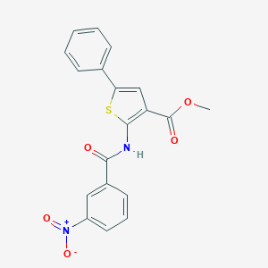 molecular formula C19H14N2O5S B450240 Methyl 2-({3-nitrobenzoyl}amino)-5-phenylthiophene-3-carboxylate 