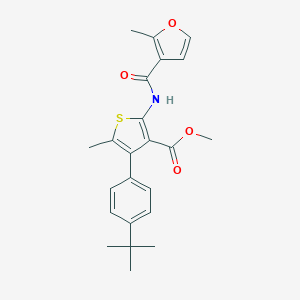 molecular formula C23H25NO4S B450404 Methyl 4-(4-tert-butylphenyl)-5-methyl-2-[(2-methyl-3-furoyl)amino]thiophene-3-carboxylate 