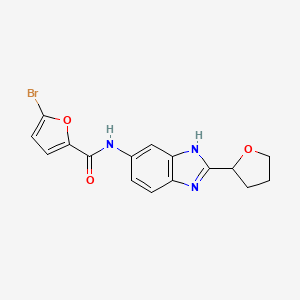 5-bromo-N-[2-(tetrahydrofuran-2-yl)-1H-benzimidazol-5-yl]furan-2-carboxamide