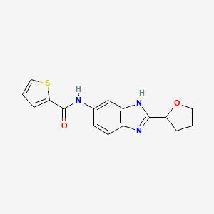 N-[2-(tetrahydrofuran-2-yl)-1H-benzimidazol-5-yl]thiophene-2-carboxamide