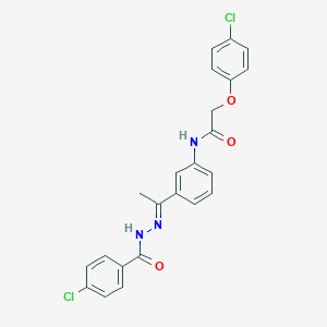molecular formula C23H19Cl2N3O3 B450543 N-{3-[N-(4-chlorobenzoyl)ethanehydrazonoyl]phenyl}-2-(4-chlorophenoxy)acetamide 