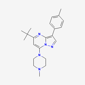 1-[5-TERT-BUTYL-3-(4-METHYLPHENYL)PYRAZOLO[1,5-A]PYRIMIDIN-7-YL]-4-METHYLPIPERAZINE