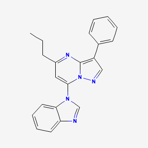 molecular formula C22H19N5 B4507133 7-(1H-benzimidazol-1-yl)-3-phenyl-5-propylpyrazolo[1,5-a]pyrimidine 