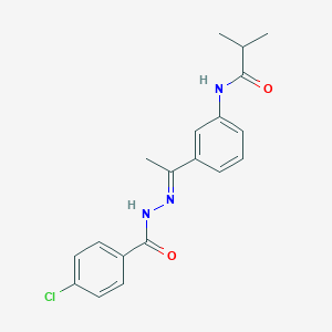 molecular formula C19H20ClN3O2 B450818 N-{3-[N-(4-chlorobenzoyl)ethanehydrazonoyl]phenyl}-2-methylpropanamide 