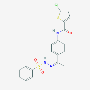 molecular formula C19H16ClN3O3S2 B450870 5-chloro-N-{4-[N-(phenylsulfonyl)ethanehydrazonoyl]phenyl}-2-thiophenecarboxamide 