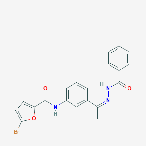 molecular formula C24H24BrN3O3 B450904 5-bromo-N-{3-[N-(4-tert-butylbenzoyl)ethanehydrazonoyl]phenyl}-2-furamide 
