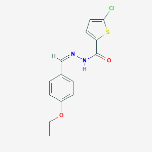 molecular formula C14H13ClN2O2S B450963 5-chloro-N'-(4-ethoxybenzylidene)-2-thiophenecarbohydrazide 