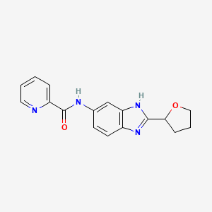 molecular formula C17H16N4O2 B4509655 N-[2-(tetrahydro-2-furanyl)-1H-benzimidazol-6-yl]-2-pyridinecarboxamide 