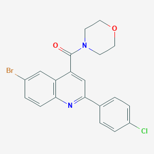 molecular formula C20H16BrClN2O2 B451490 [6-Bromo-2-(4-chlorophenyl)-4-quinolyl](morpholino)methanone 