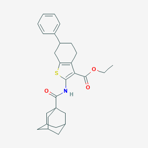 molecular formula C28H33NO3S B451513 Ethyl 2-[(1-adamantylcarbonyl)amino]-6-phenyl-4,5,6,7-tetrahydro-1-benzothiophene-3-carboxylate 