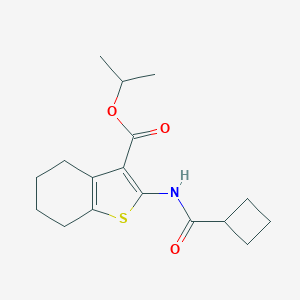 molecular formula C17H23NO3S B451525 Propan-2-yl 2-[(cyclobutylcarbonyl)amino]-4,5,6,7-tetrahydro-1-benzothiophene-3-carboxylate 