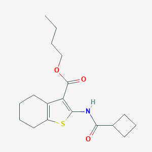 Butyl 2-[(cyclobutylcarbonyl)amino]-4,5,6,7-tetrahydro-1-benzothiophene-3-carboxylate
