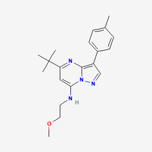 5-tert-butyl-N-(2-methoxyethyl)-3-(4-methylphenyl)pyrazolo[1,5-a]pyrimidin-7-amine