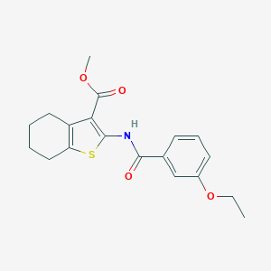molecular formula C19H21NO4S B451817 Methyl 2-[(3-ethoxybenzoyl)amino]-4,5,6,7-tetrahydro-1-benzothiophene-3-carboxylate 
