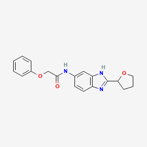 molecular formula C19H19N3O3 B4518458 2-phenoxy-N-[2-(tetrahydrofuran-2-yl)-1H-benzimidazol-5-yl]acetamide 