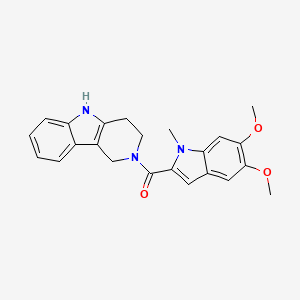 molecular formula C23H23N3O3 B4522087 (5,6-dimethoxy-1-methyl-1H-indol-2-yl)(1,3,4,5-tetrahydro-2H-pyrido[4,3-b]indol-2-yl)methanone 