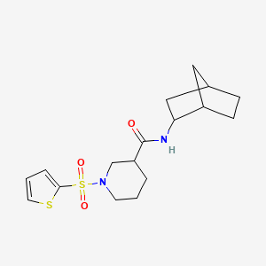 N-bicyclo[2.2.1]hept-2-yl-1-(2-thienylsulfonyl)-3-piperidinecarboxamide