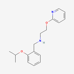 molecular formula C17H22N2O2 B4524832 N-(2-isopropoxybenzyl)-N-[2-(2-pyridinyloxy)ethyl]amine 