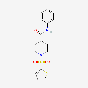 molecular formula C16H18N2O3S2 B4524856 N-phenyl-1-(thiophene-2-sulfonyl)piperidine-4-carboxamide 