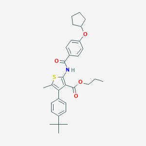 molecular formula C31H37NO4S B452638 Propyl 4-(4-tert-butylphenyl)-2-({[4-(cyclopentyloxy)phenyl]carbonyl}amino)-5-methylthiophene-3-carboxylate 