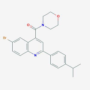 molecular formula C23H23BrN2O2 B452846 [6-Bromo-2-(4-propan-2-ylphenyl)quinolin-4-yl]-morpholin-4-ylmethanone 