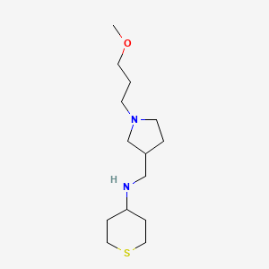 N-{[1-(3-methoxypropyl)pyrrolidin-3-yl]methyl}tetrahydro-2H-thiopyran-4-amine