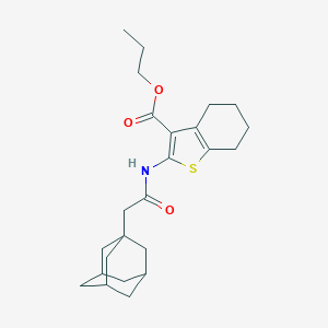 molecular formula C24H33NO3S B453070 Propyl 2-[(1-adamantylacetyl)amino]-4,5,6,7-tetrahydro-1-benzothiophene-3-carboxylate 