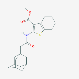 molecular formula C26H37NO3S B453080 Methyl 2-[(1-adamantylacetyl)amino]-6-tert-butyl-4,5,6,7-tetrahydro-1-benzothiophene-3-carboxylate 