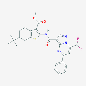 molecular formula C28H28F2N4O3S B453098 Methyl 6-tert-butyl-2-({[7-(difluoromethyl)-5-phenylpyrazolo[1,5-a]pyrimidin-3-yl]carbonyl}amino)-4,5,6,7-tetrahydro-1-benzothiophene-3-carboxylate 