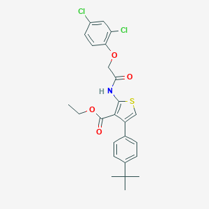 molecular formula C25H25Cl2NO4S B453209 Ethyl 4-(4-tert-butylphenyl)-2-{[(2,4-dichlorophenoxy)acetyl]amino}-3-thiophenecarboxylate 