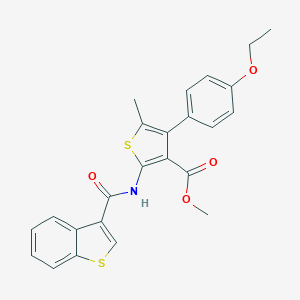 molecular formula C24H21NO4S2 B453264 Methyl 2-[(1-benzothien-3-ylcarbonyl)amino]-4-(4-ethoxyphenyl)-5-methyl-3-thiophenecarboxylate 