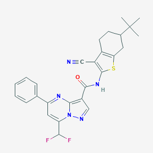 N-(6-tert-butyl-3-cyano-4,5,6,7-tetrahydro-1-benzothiophen-2-yl)-7-(difluoromethyl)-5-phenylpyrazolo[1,5-a]pyrimidine-3-carboxamide
