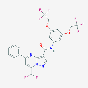 molecular formula C24H16F8N4O3 B453275 N-[3,5-bis(2,2,2-trifluoroethoxy)phenyl]-7-(difluoromethyl)-5-phenylpyrazolo[1,5-a]pyrimidine-3-carboxamide 