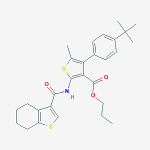 Propyl 4-(4-tert-butylphenyl)-5-methyl-2-[(4,5,6,7-tetrahydro-1-benzothiophen-3-ylcarbonyl)amino]thiophene-3-carboxylate