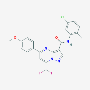 N-(5-chloro-2-methylphenyl)-7-(difluoromethyl)-5-(4-methoxyphenyl)pyrazolo[1,5-a]pyrimidine-3-carboxamide