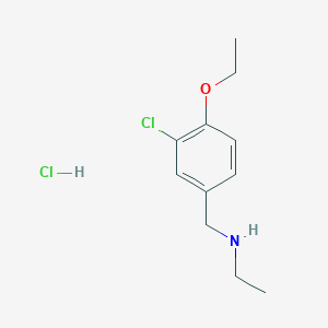 molecular formula C11H17Cl2NO B4536472 盐酸N-(3-氯-4-乙氧基苄基)乙胺 