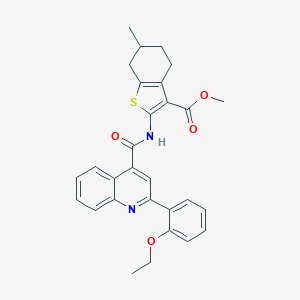 Methyl 2-({[2-(2-ethoxyphenyl)-4-quinolinyl]carbonyl}amino)-6-methyl-4,5,6,7-tetrahydro-1-benzothiophene-3-carboxylate