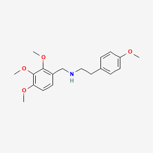 molecular formula C19H25NO4 B4536823 2-(4-methoxyphenyl)-N-(2,3,4-trimethoxybenzyl)ethanamine 