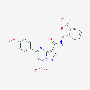 molecular formula C23H17F5N4O2 B453787 7-(difluoromethyl)-5-(4-methoxyphenyl)-N-[2-(trifluoromethyl)benzyl]pyrazolo[1,5-a]pyrimidine-3-carboxamide 