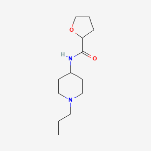 molecular formula C13H24N2O2 B4538889 N-(1-propyl-4-piperidinyl)tetrahydro-2-furancarboxamide 