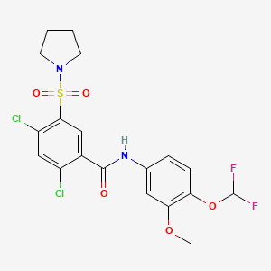 molecular formula C19H18Cl2F2N2O5S B4539932 2,4-dichloro-N-[4-(difluoromethoxy)-3-methoxyphenyl]-5-(1-pyrrolidinylsulfonyl)benzamide 
