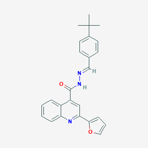 molecular formula C25H23N3O2 B454008 N'-(4-tert-butylbenzylidene)-2-(2-furyl)-4-quinolinecarbohydrazide 