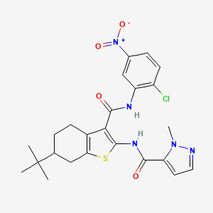 molecular formula C24H26ClN5O4S B4540351 N-(6-tert-butyl-3-{[(2-chloro-5-nitrophenyl)amino]carbonyl}-4,5,6,7-tetrahydro-1-benzothien-2-yl)-1-methyl-1H-pyrazole-5-carboxamide 