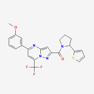 molecular formula C23H19F3N4O2S B4542125 5-(3-methoxyphenyl)-2-{[2-(2-thienyl)-1-pyrrolidinyl]carbonyl}-7-(trifluoromethyl)pyrazolo[1,5-a]pyrimidine 
