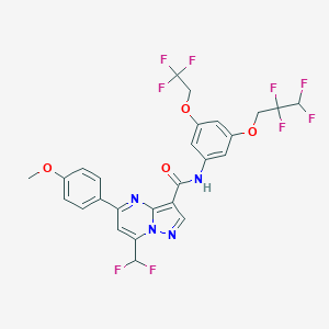 molecular formula C26H19F9N4O4 B454323 7-(difluoromethyl)-5-(4-methoxyphenyl)-N-[3-(2,2,3,3-tetrafluoropropoxy)-5-(2,2,2-trifluoroethoxy)phenyl]pyrazolo[1,5-a]pyrimidine-3-carboxamide 