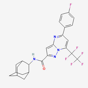molecular formula C25H22F6N4O B4543312 N-2-adamantyl-5-(4-fluorophenyl)-7-(pentafluoroethyl)pyrazolo[1,5-a]pyrimidine-2-carboxamide 